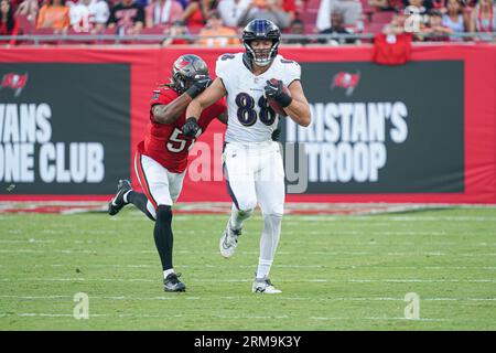 Tampa Bay, Florida, USA, August 26, 2023, Baltimore Ravens Tight End  Charlie Kolar #88 at Raymond James Stadium. (Photo Credit: Marty  Jean-Louis/Alamy Live News Stock Photo - Alamy