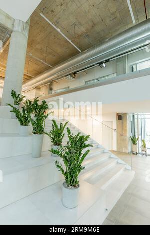 Interior of the big office space wallway Stock Photo