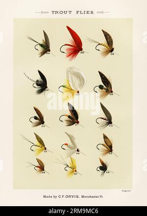 Vintage Illustration of fly fishing hooks: Assorted barbed fly hooks with  different sizes and eyelets for artificial fly patterns in fly fishing. Ca  Stock Photo - Alamy