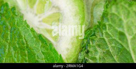 Cocktail with lime and peppermint leaves. Background of slices of citrus fruits and mint Stock Photo