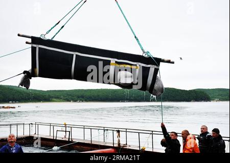 (140611) -- HARBIN, June 11, 2014 (Xinhua) -- People transfer a beluga whale in the seaside border area of Russia, June 9, 2014. After 20-hour s drive, three white whales from Russia on Wednesday were transported to the Harbin Polarland theme park in northeast China s Harbin. (Xinhua/Wang Jianwei) (wf) CHINA-HARBIN-BELUGA-TRANSPORT (CN) PUBLICATIONxNOTxINxCHN   Harbin June 11 2014 XINHUA Celebrities Transfer a Beluga Whale in The Seaside Border Area of Russia June 9 2014 After 20 hour S Drive Three White Whales from Russia ON Wednesday Were transported to The Harbin Polar country Theme Park in Stock Photo