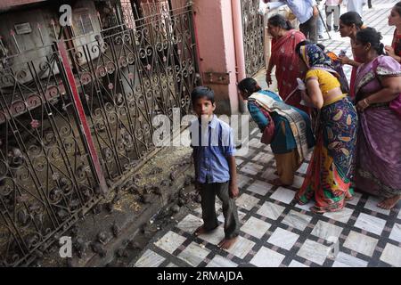 (140713) -- RAJASTHAN, July 12, 2014 (Xinhua) -- People look at the rats at the Karni Mata Temple in Deshnoke, 30 kilometers from Bikaner in Rajasthan, India, July 12, 2014. The Karni Mata Temple is a famous Hindu temple dedicated to Karni Mata. It is also known as the Temple of Rats. Some 20,000-odd rats call this temple home. The rats are considered to be holy, and many people travel great distances to pay their respects. The temple draws visitors from across the country for blessings, as well as curious tourists from around the world. (Xinhua/Zheng Huansong) INDIA-RAJASTHAN-TEMPLE OF RATS P Stock Photo