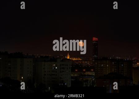 Full moon over the city in the evening, Seville, Spain. Giralda and Seville Tower Stock Photo