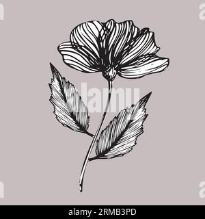 Floral doodle set in sketch style, vector hand drawn botanical ...
