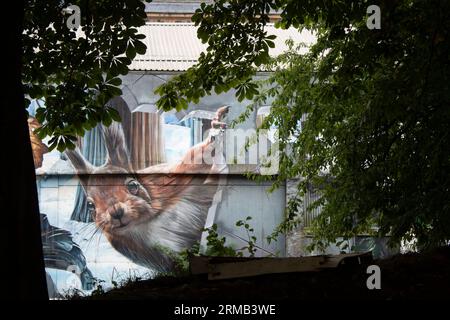 Red Squirrel, part of the Fellow Glasgow Residents Wildlife Mural Ingram Street parking lot in Glasgow, Scotland Stock Photo