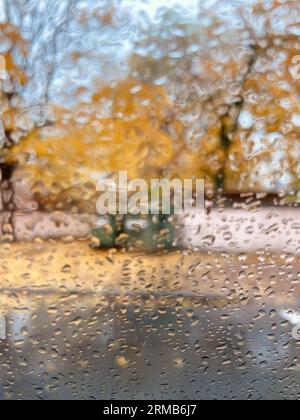 Rain drops on the window Stock Photo