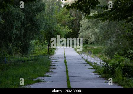 an old broken tile pathway goes off into the distance between green grass and trees Stock Photo
