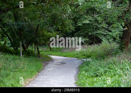 the old asphalt road goes off into the distance between green grass and trees Stock Photo