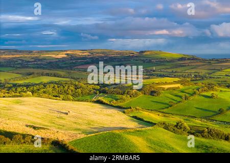 Shipton Gorge, Dorset, UK.  27th August 2023.  UK Weather.  Aerial across the fields near Shipton Gorge in Dorset looking towards the Bride Valley during golden hour sunlight which bathes the countryside in sunshine shortly before sunset with dark clouds in the distance. Picture Credit: Graham Hunt/Alamy Live News Stock Photo