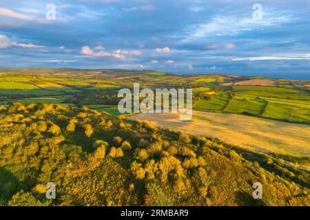 Shipton Gorge, Dorset, UK.  27th August 2023.  UK Weather.  Aerial view above the summit of Shipton Hill near Shipton Gorge in Dorset looking towards the Bride Valley which is showing autumnal colours in the golden hour sunlight which bathes the countryside in sunshine shortly before sunset with dark clouds in the distance. Picture Credit: Graham Hunt/Alamy Live News Stock Photo