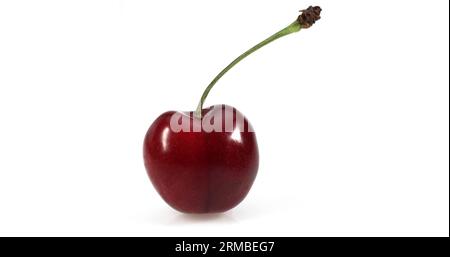 Bigarreau Cherry, a French Specy, against White Background Stock Photo