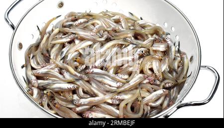 Fresh Smelts, osmerus eperlanus into Dish Drainer against White Background Stock Photo