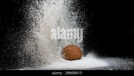 Coconut, cocos nucifera, Fruit and Powder Exploding against Black ...