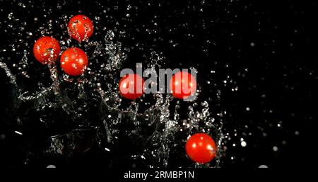 Cherry Tomatoes, solanum lycopersicum, Fruits Falling on Water against Black Background Stock Photo