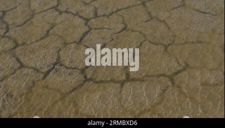 Water and Drought in the Marshes of Camargue, in the South East of France Stock Photo