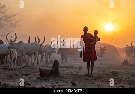 Young woman with her child in Mundari camp with cows Stock Photo