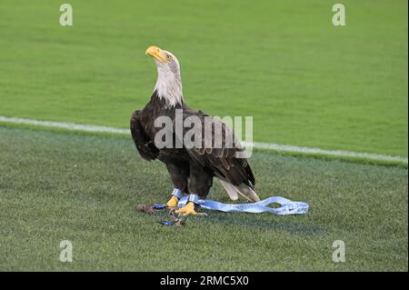 Stadio Olimpico, Rome, Italy. 27th Aug, 2023. Serie A Football, Lazio versus Genoa; The eagle, Olimpia the Lazio's mascot flies into the stadium Credit: Action Plus Sports/Alamy Live News Stock Photo