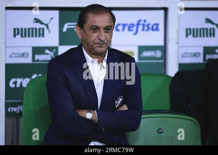 Sao Paulo, Brazil. 27th Aug, 2023. SP - SAO PAULO - 08/27/2023 - BRASILEIRO A 2023, PALMEIRAS X VASCO - Vasco coach Ramon Diaz during a match against Palmeiras at Arena Allianz Parque for the Brazilian championship A 2023. Photo: Ettore Chiereguini/AGIF Credit: AGIF/Alamy Live News Stock Photo