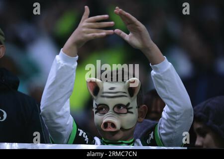 Sao Paulo, Brazil. 27th Aug, 2023. SP - SAO PAULO - 08/27/2023 - BRAZILEIRO A 2023, PALMEIRAS X VASCO - Palmeiras fans during a match against Vasco at Arena Allianz Parque stadium for the Brazilian championship A 2023. Photo: Ettore Chiereguini/AGIF/Sipa USA Credit: Sipa USA/Alamy Live News Stock Photo