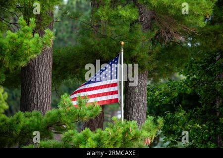 American flag on a flag pole between trees, horizontal Stock Photo