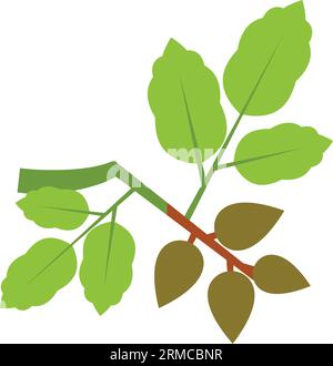 Pistachio branch vector icon Stock Vector