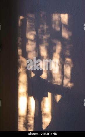 Abstract texture background of moving tree shadows through a window, cast upon a white staircase wall in a darkened room. Stock Photo