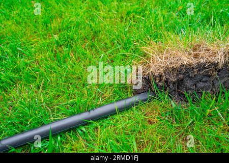 A black plastic pipe comes out from under a green lawn, close-up Stock Photo