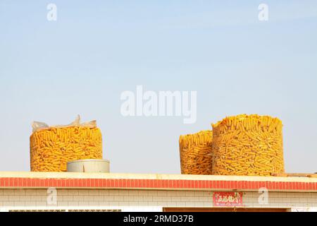 Corn drying on the roof, in countryside of China Stock Photo