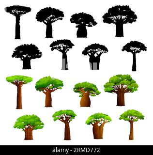African baobab trees and silhouettes. Vector african savanna baobabs with broad trunks and green leaves. Isolated tropical trees set, drought resistan Stock Vector