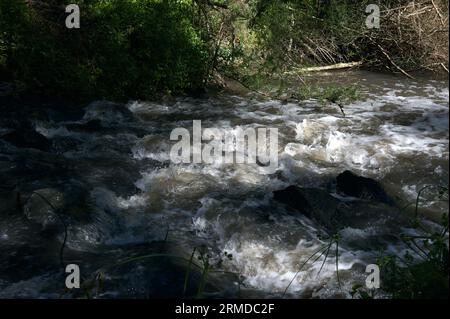 Dandenong Creek runs through the Eastern and South Eastern suburbs of Melbourne, and used to cause some flooding after heavy rain - like this. Stock Photo