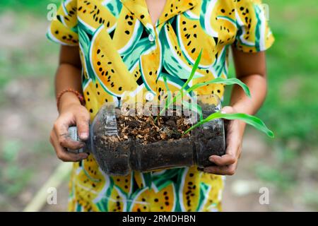 Little girl shows saplings grown in recycled plastic bottles. Recycle water bottle pot, gardening activities for children. Recycling of plastic waste Stock Photo