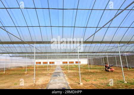 vegetable greenhouse internal structure, Uncultivated land, north china ...