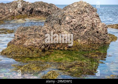 Rocks by Cushendun Caves, Cushendun, Antrim, Northern Ireland, UK-   used as backdrop in the TV series Game of Thrones. Stock Photo