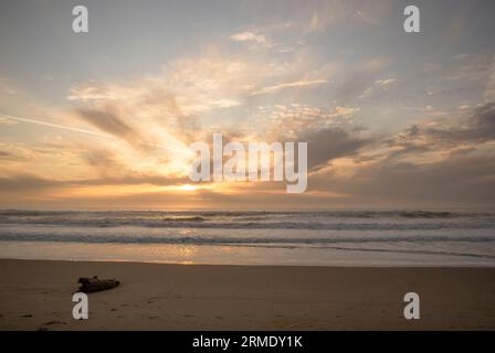 The sun sets over the ocean, lone piece of driftwood lays in the sand. Stock Photo