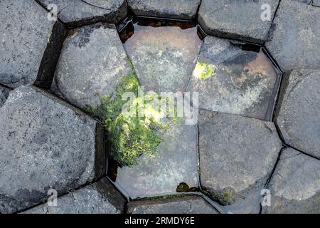 Giant Causeway, basalt columns, Causeway Coastal Path, County Antrim, Northern Ireland, UK- rainy day Stock Photo