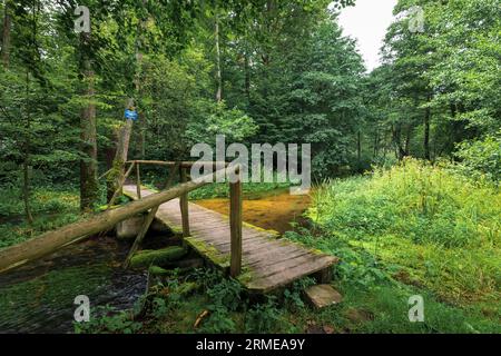 Wooden footbridge over small, calm, stream. Amazing, clean water and sandy bottom of the river. Green forest and wild overgrown riverbank in the backg Stock Photo