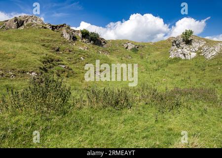 Murlough Road, going to Murlough Bay, Northern Ireland, UK Stock Photo