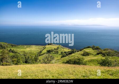 Murlough Road, going to Murlough Bay with Mull of Kintyre on horizon, Northern Ireland, UK Stock Photo