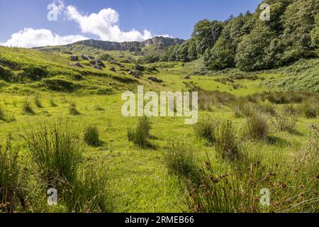 Murlough Road, going to Murlough Bay, Northern Ireland, UK Stock Photo