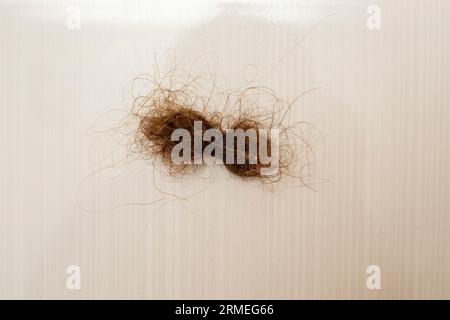 Fallen brown hair tied like a bow smudged on beige ceramic tiles soft focus Stock Photo