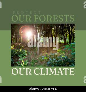 Composite of protect our forests and save our climate text and sun shining through trees in woods Stock Photo