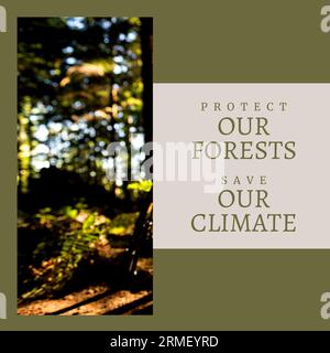 Composite of protect our forests and save our climate text and defocused trees in woods Stock Photo