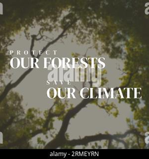 Composite of protect our forests and save our climate text and trees growing under sky in woods Stock Photo