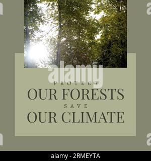 Composite of protect our forests and save our climate text and sun shining through trees in forest Stock Photo