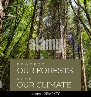 Composite of protect our forests and save our climate text and tall trees growing in woodland Stock Photo