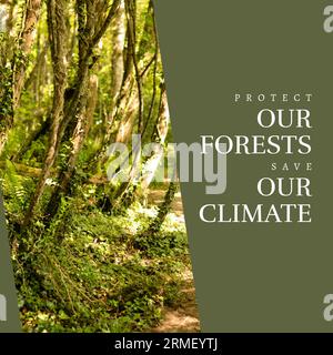 Composite of protect our forests and save our climate text and trees growing in forest Stock Photo