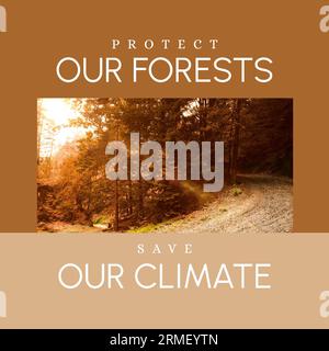 Composite of protect our forests and save our climate text and trees in woodland during sunset Stock Photo