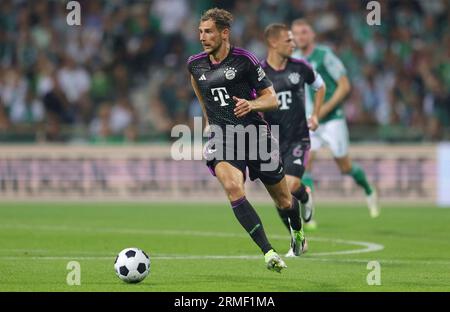 firo: 08/18/2023 1.Bundesliga first league season 2023/24 SV Werder Bremen  - FCB FC Bayern Munich Munchen Munich 0:4 championship trophy, background,  depositor, Bavaria cutout Stock Photo - Alamy