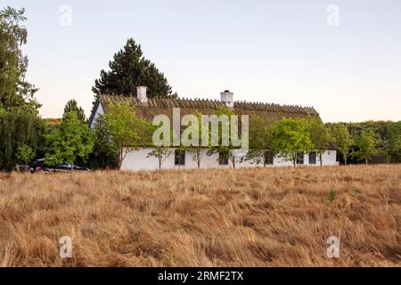 View of meadow, house with thatched roof in background Stock Photo