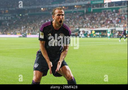 firo: 08/18/2023 1.Bundesliga first league season 2023/24 SV Werder Bremen  - FCB FC Bayern Munich Munchen Munich 0:4 championship trophy, background,  depositor, Bavaria cutout Stock Photo - Alamy